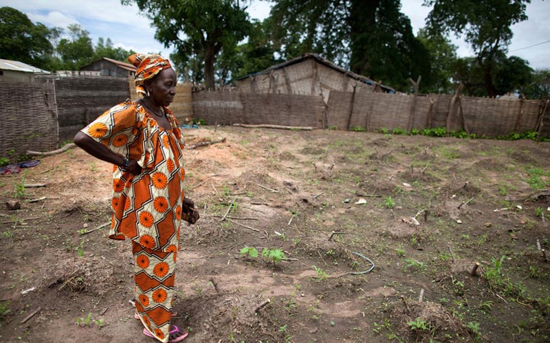 woman-garden-food-senegal-ous-47192