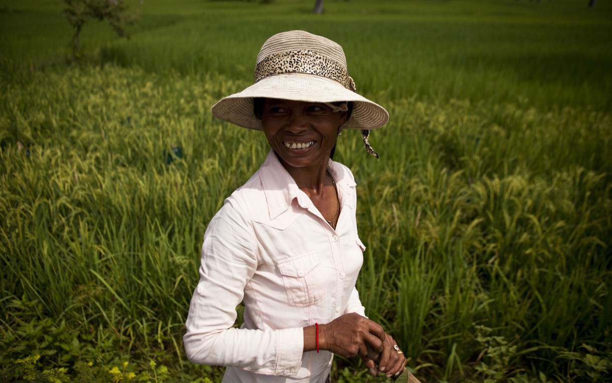 Meas Sopheap at her rice field in Krang Lahong, Cambodia. Photo: Patrick Brown/Panos for Oxfam America