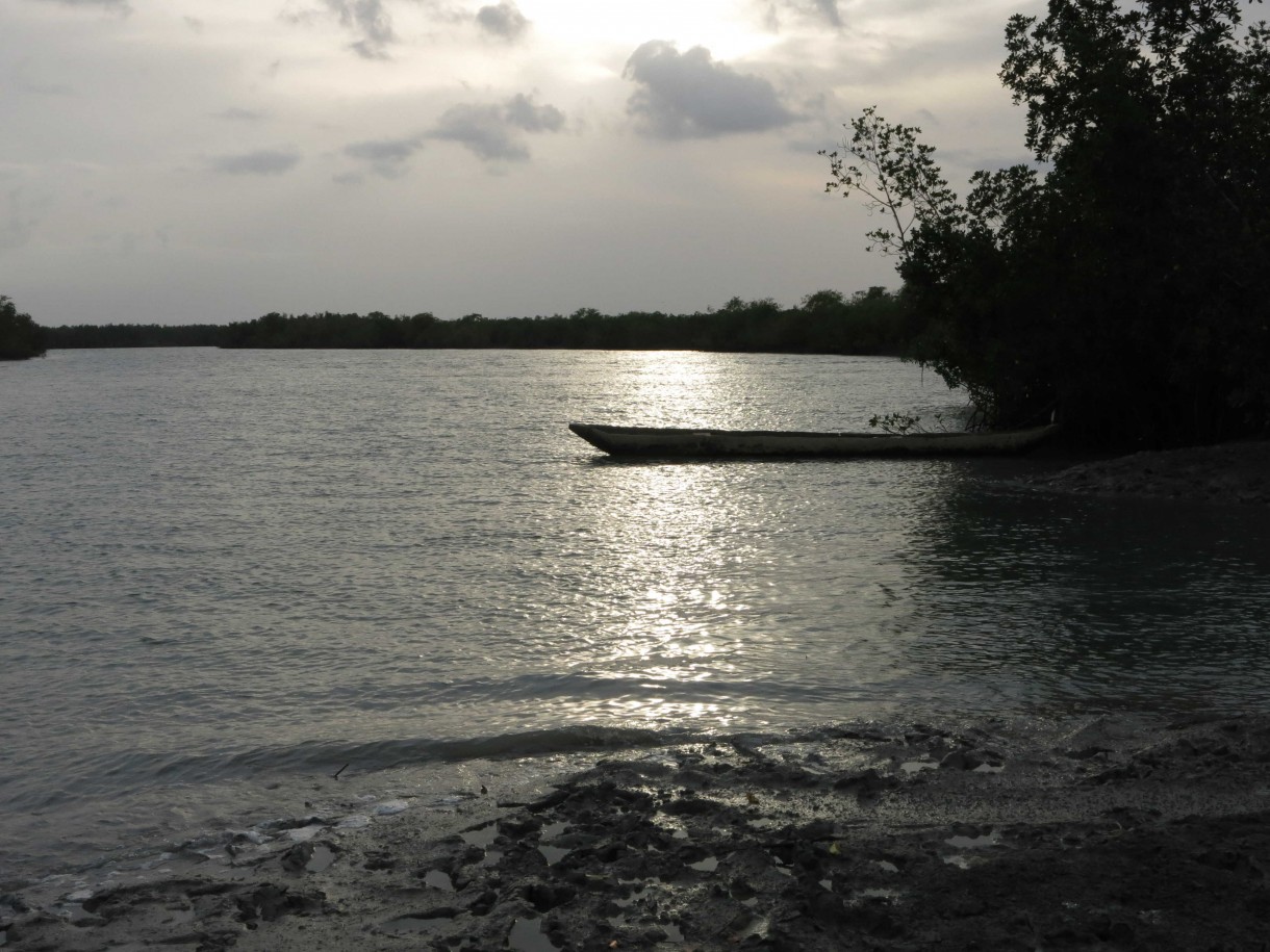 guinea-bissau-river_web