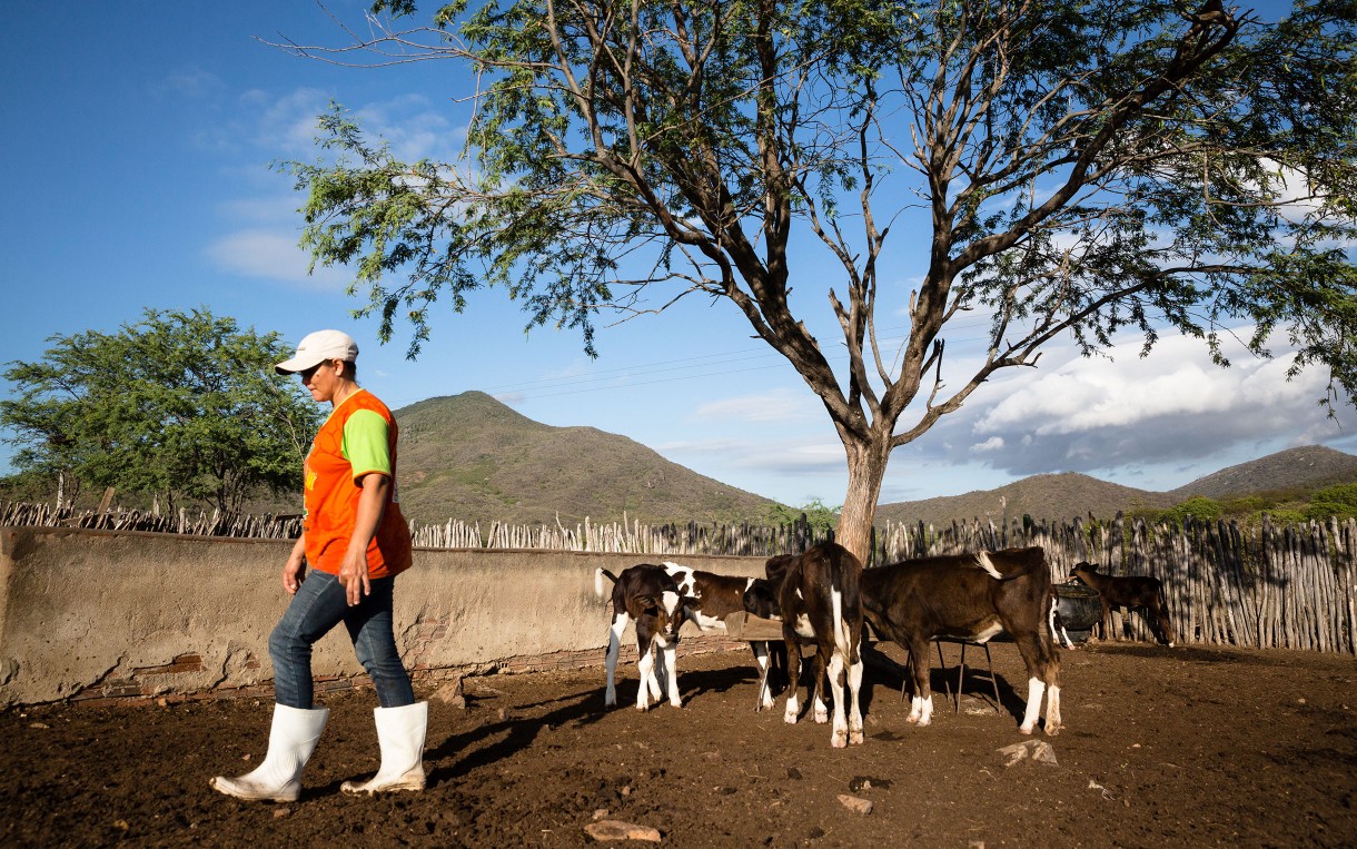 Maria José de Sousa Leima Roseira: Looking for options to keep the family dairy viable. photo by: Tatiana Cardeal/Oxfam