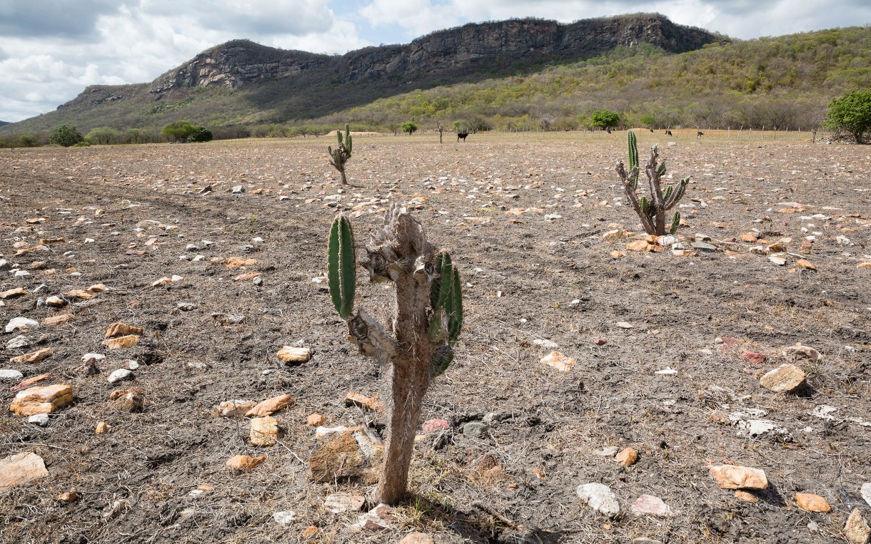 Drought is affecting the property of Roseira and Maria José. Photo by: Tatiana Cardeal