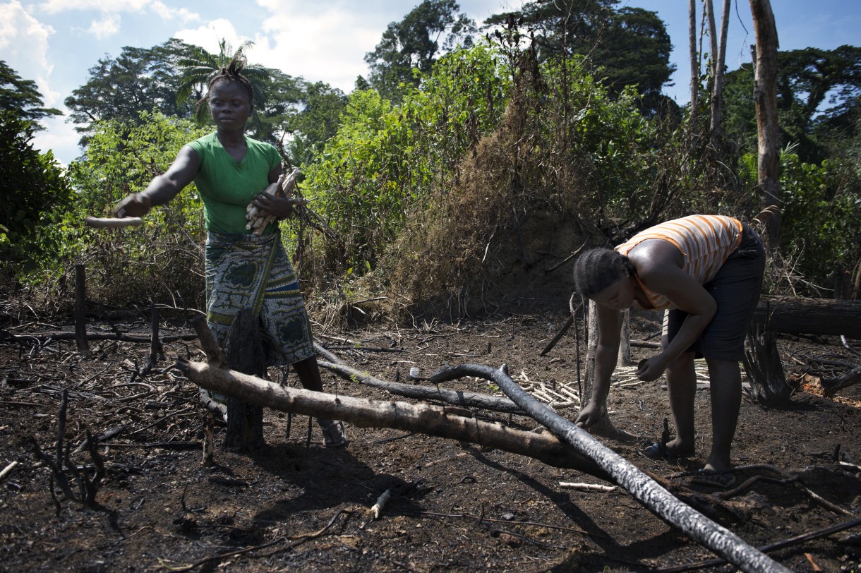 Farmers in Sinoe County, Liberia, say unpredictable changes in rainfall patterns can catastrophically disrupt their production of maize, rice, and other food. Oxfam is advocating for more funds to help farmers adapt to climate change. Photo: Anna Fawcus/Oxfam America