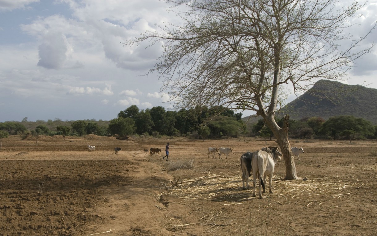 Along the banks of the Dawa River in southeast Ethiopia, herders are learning to farm with irrigation, fearing drought and rising food prices. Photo: Eva-Lotta Jansson/Oxfam America