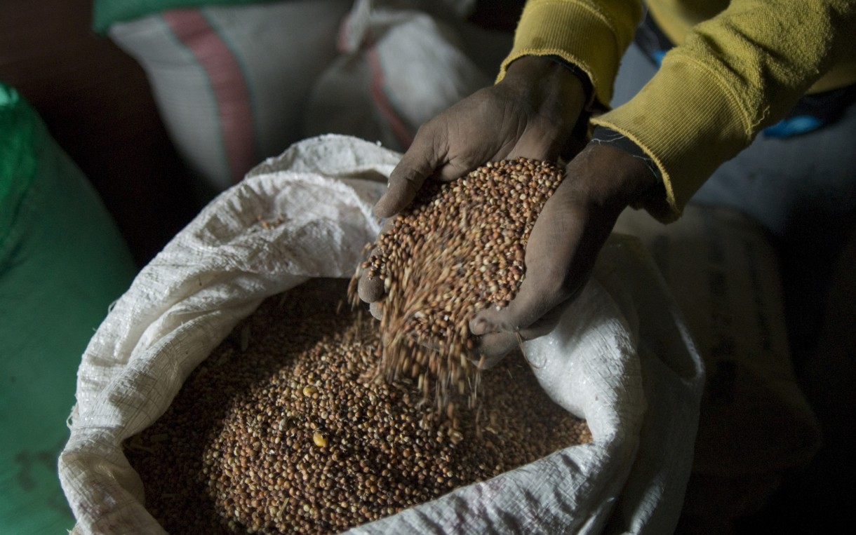 Grain in the stores of the Jalala Women's Assocation in the Shashemene District of Ethiopia. The current US food aid program requires the purchase and shipment of US-sourced food to locations around the world. This is outdated and inefficient. Purchasing food locally is faster and less expensive, which is critical as more frequent natural disasters and humanitarian crises leave millions of families struggling to survive. Photo: Eva-Lotta Jansson / Oxfam America