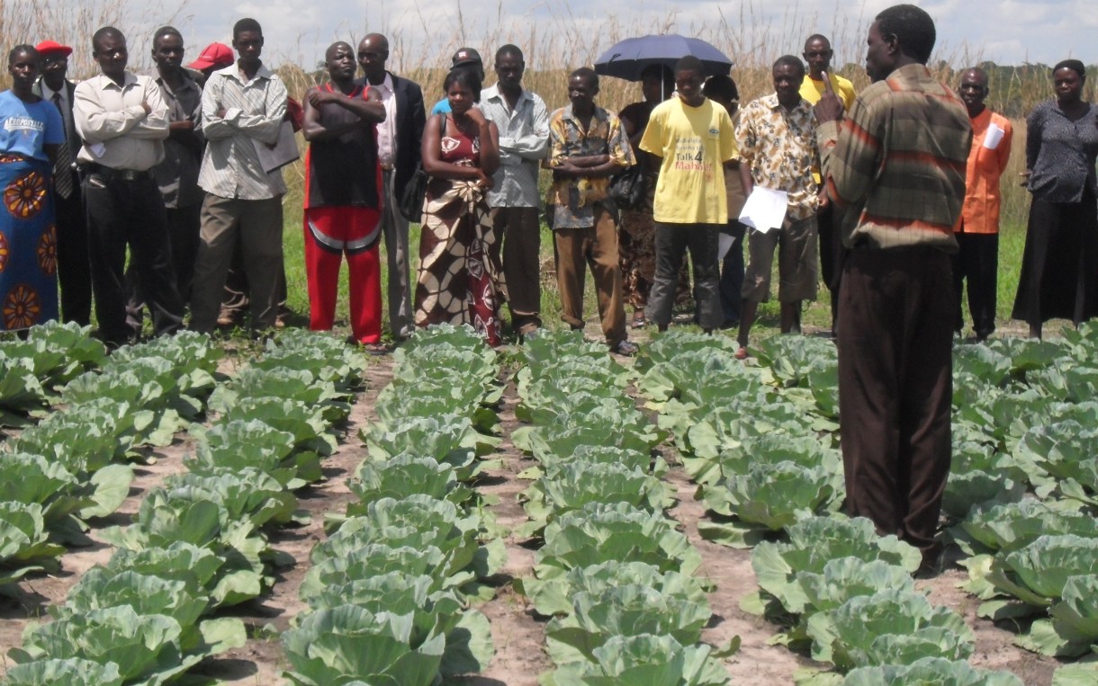 Farmer Mufungulwa Kalunga speaks to his fellow farmers about his farming practices during a field day in Mongu, Zambia, sponsored by Concern Worldwide. Helping small-scale farmers adopt agricultural practices that will buffer them from the harmful effects of climate change must be a priority in Zambia. Photo: http://bit.ly/1t3faBz